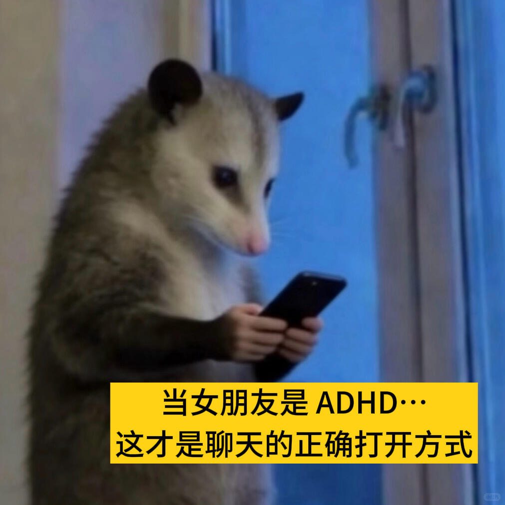 和adhd女友聊天的正确打开方式 配图 1